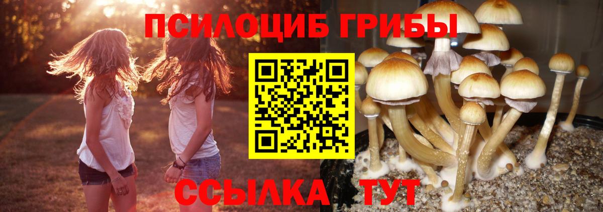 Псилоцибиновые грибы GOLDEN TEACHER Коряжма